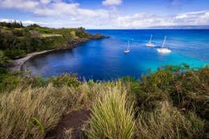 Honolua Bay   Maui Hawaii 1557